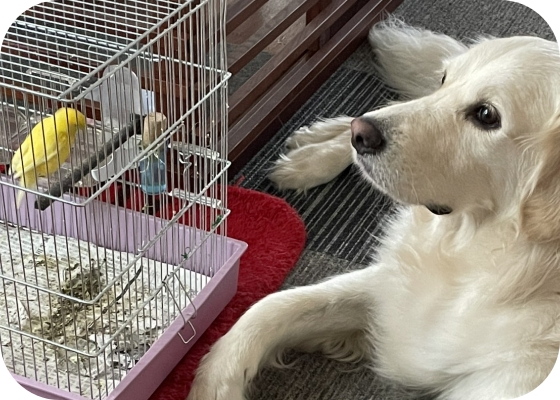 画像:ゆずとピー